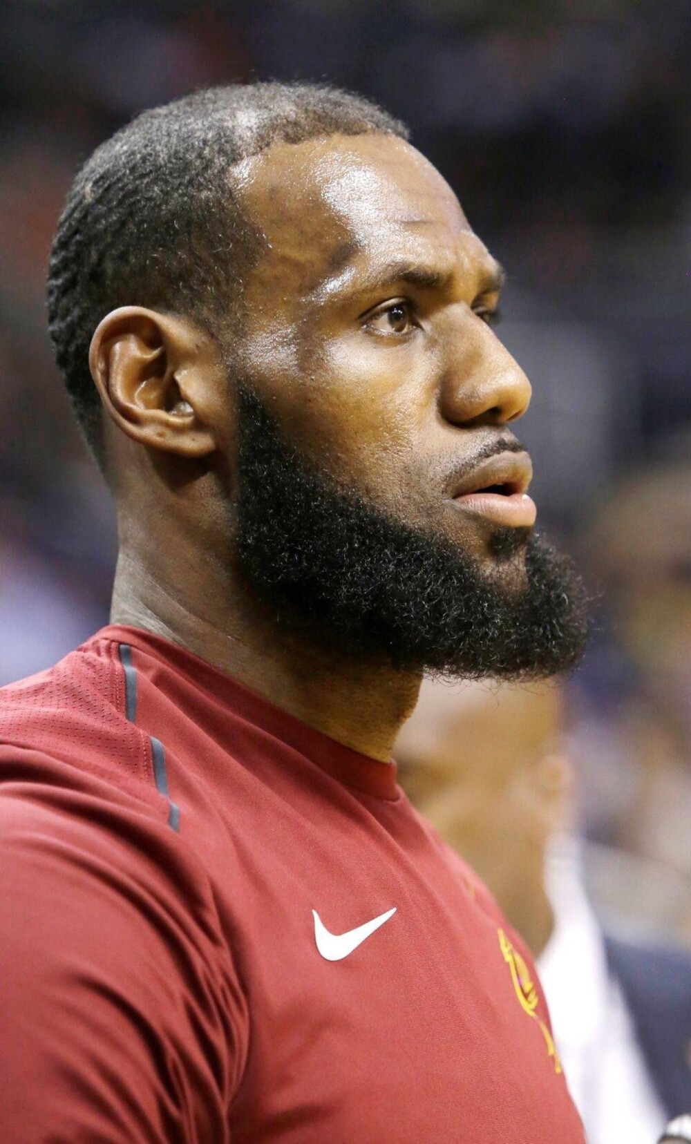 麦迪逊的夜 麦迪逊的夜